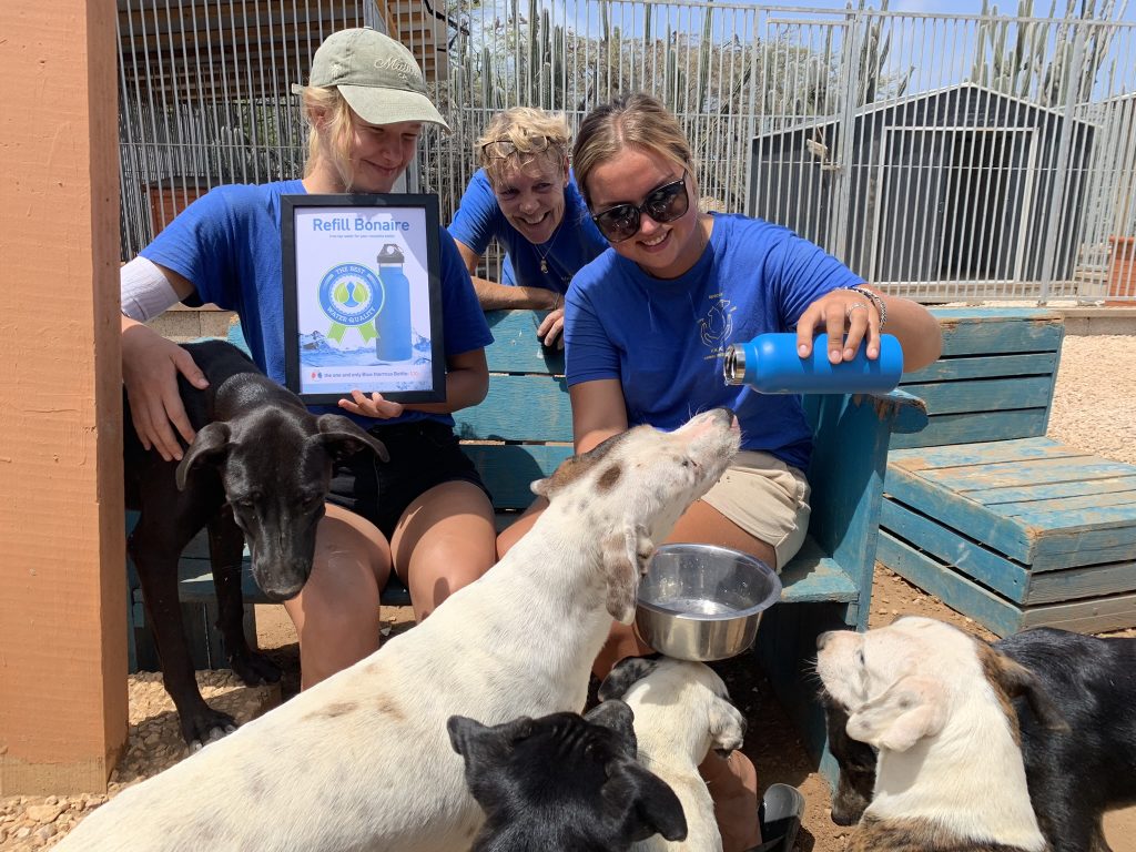 Bonaire FKK Animal rescue - Gratis drinkwater